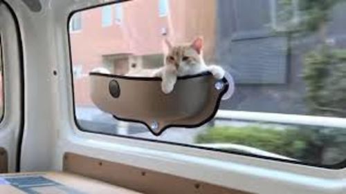 Customer photo review of Cat Window Bed