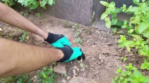 Customer photo review of Garden Genie Gloves - Offer