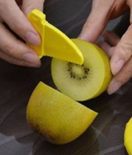 Customer photo review of Kiwi Cutter / Slicer