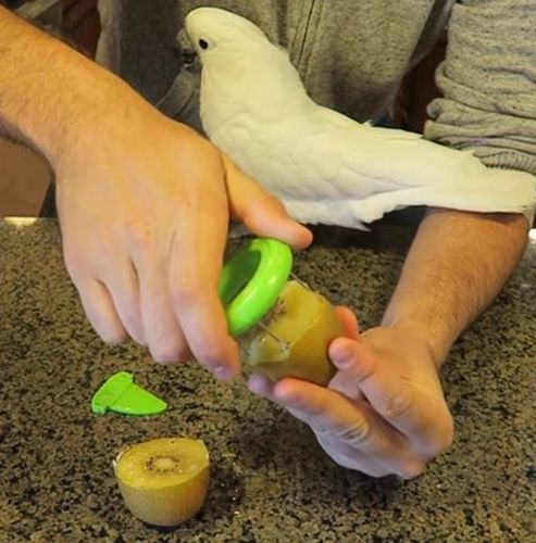 Customer photo review of Kiwi Cutter / Slicer - Offer