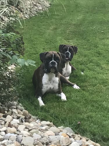 Customer photo review of Review