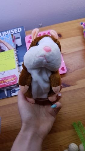Customer photo review of Talking Hamster