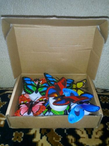 Customer photo review of 3D LED Butterfly Stickers