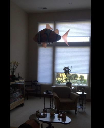 Customer photo review of AirFish - Remote Controlled Air Swimming Fish