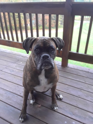 Customer photo review of Review