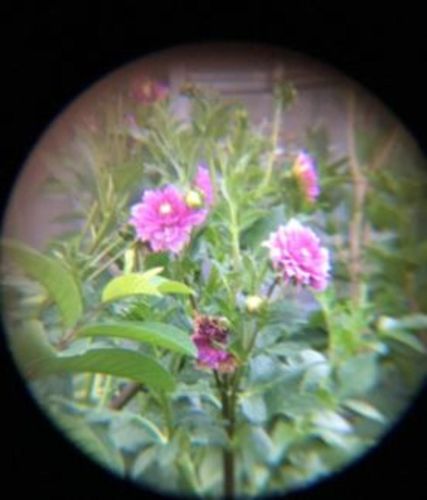 Customer photo review of Monocular Night Vision Phone Camera Lens