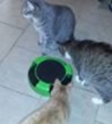 Customer photo review of EasyCat Motion Mouse