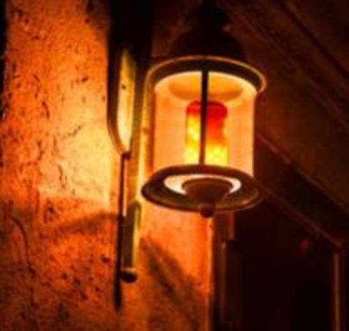 Customer photo review of LED Flame Effect Light Bulb