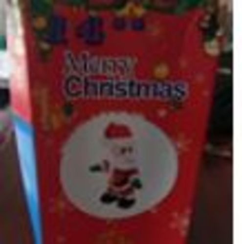 Customer photo review of Twerking Santa Doll