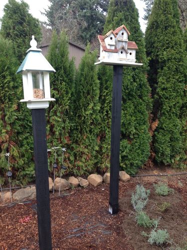 Customer photo review of Pavillion Bird Feeder, Verdigris Roof