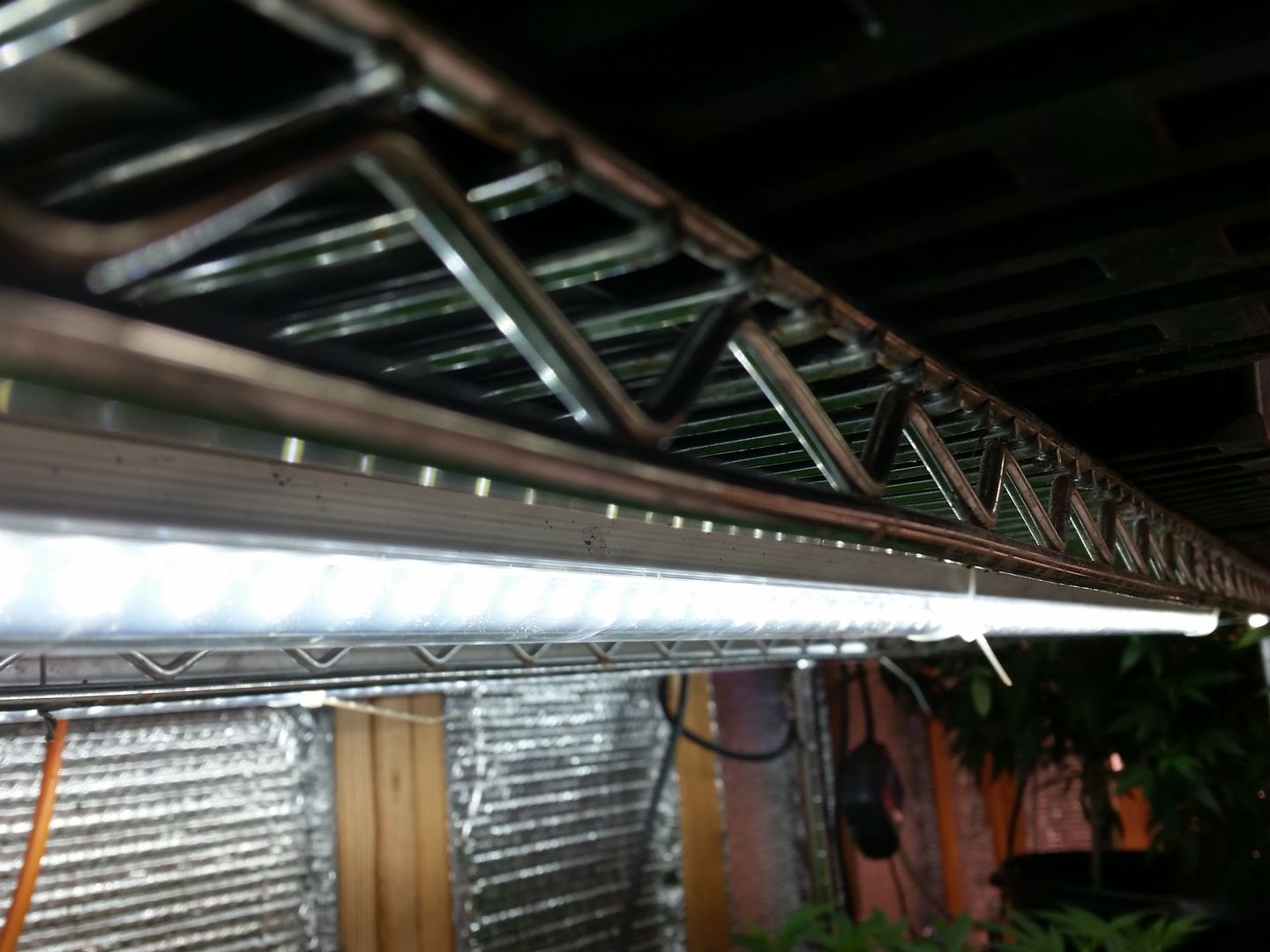 Customer photo review of T8 LED Cooler V Shape 6ft 40W 5000k Clear 5200 Lumens Rebate Eligible
