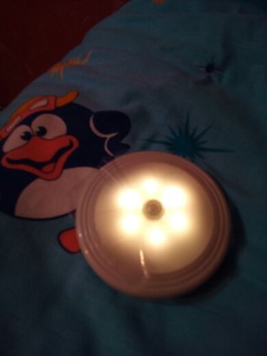 Customer photo review of Smart Body Motion Sensor LED