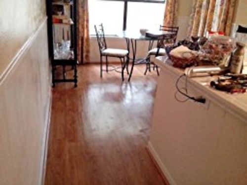 Customer photo review of ElectroSpin