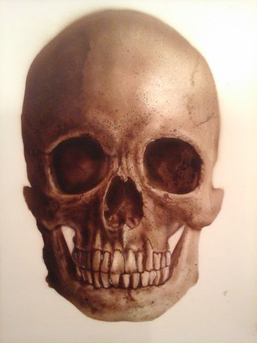 Customer photo review of Classroom in a Box: Skull kit