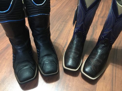 ariat catalyst prime