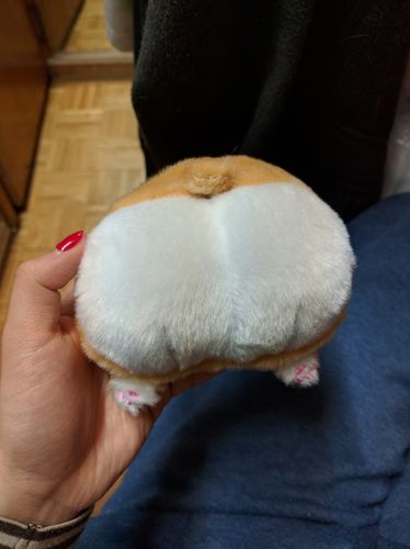 Customer photo review of Chibi Corgi Butt Coin Wallet SP167953