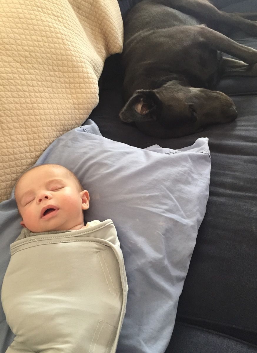 I LOVE the Ollie swaddle. My son is a little houdini and he can easily get out of any swaddle