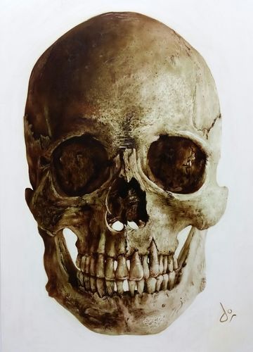 Customer photo review of Classroom in a Box: Skull kit