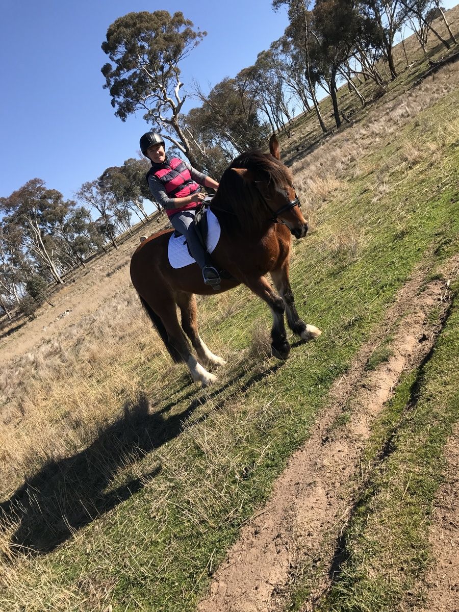 Customer photo review of Kentaur ‘Neo’ Non Slip Saddle Pad