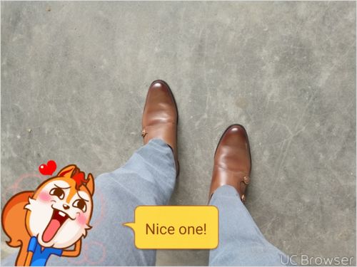 Customer photo review of Double Monk Straps - Brown