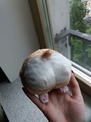 Customer photo review of Corgi Booty Coin Purse Offer