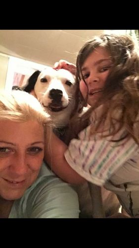 Customer photo review of FINE LEATHER COLLARS