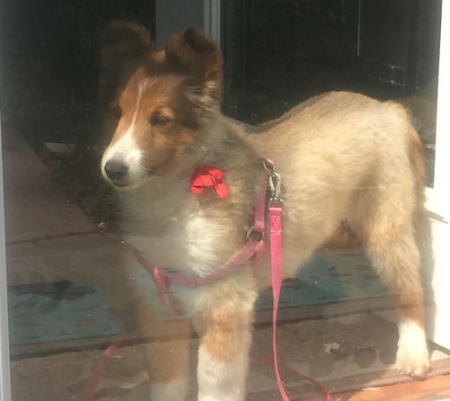 Customer photo review of Aunt Lyn's Luv in a Bottle