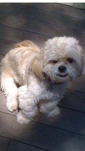 Customer photo review of Aunt Lyn's Calming Cologne Maximum Strength