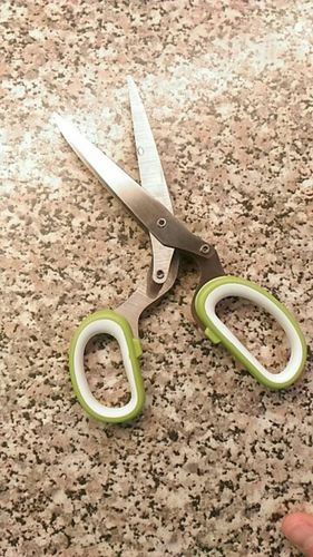 Customer photo review of Stainless Steel Chopping Scissors