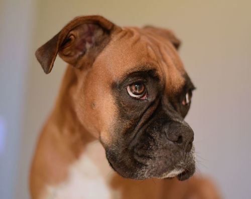 Customer photo review of Review