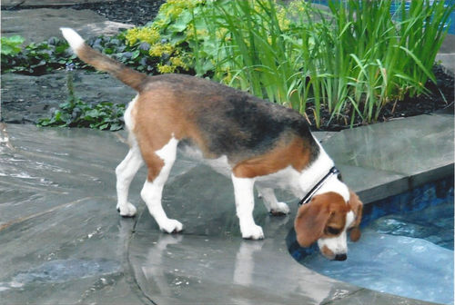 Customer photo review of Client Testimonials