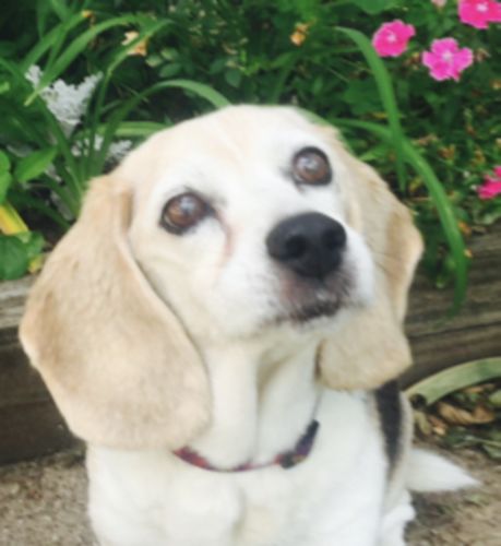 Customer photo review of Review