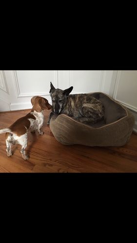 Customer photo review of Review