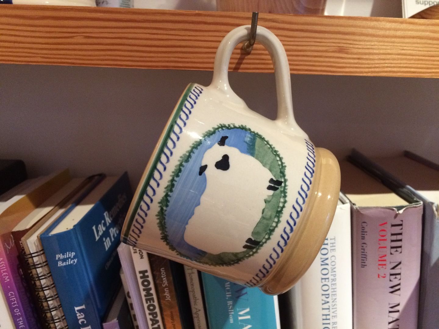 Customer photo review of Large Mug Sheep