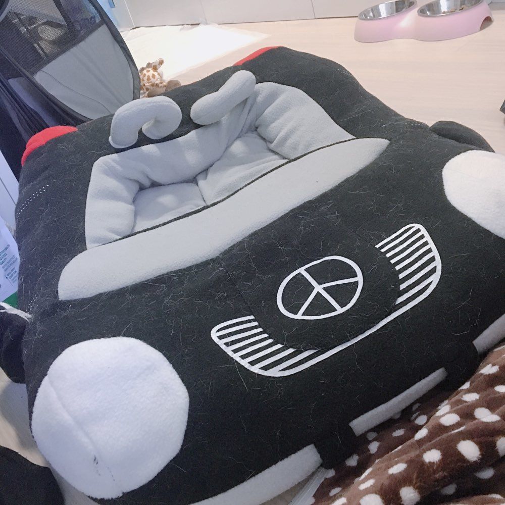 Customer photo review of Furcedes Sports Car Bed