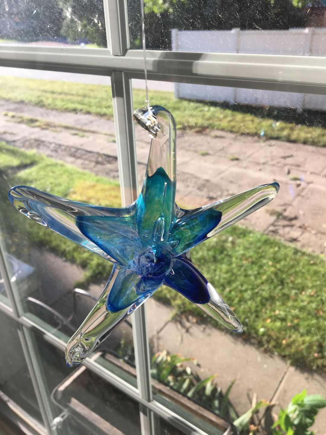 Customer photo review of Dichroic Starfish Suncatcher with Infused Cremains