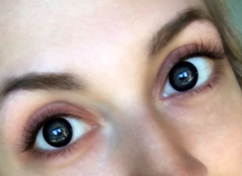 Black Circle Lenses 0 00 Ohmykitty Online Store