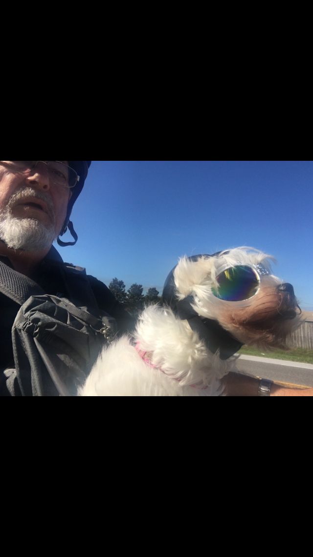 Customer photo review of Grumpy Old Bikers Club Founding Member