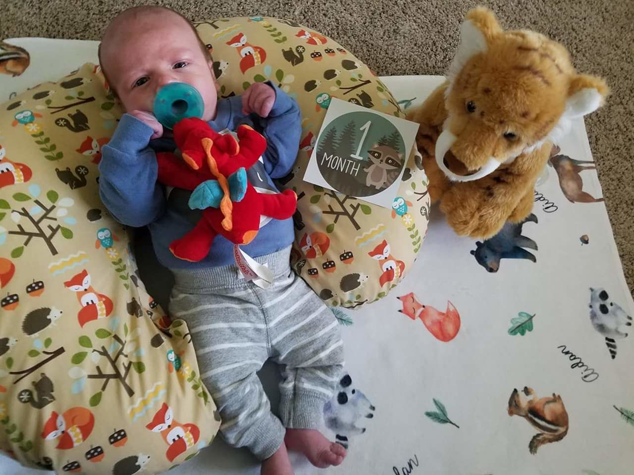 Customer photo review of Woodland Animals Personalized Baby Blanket