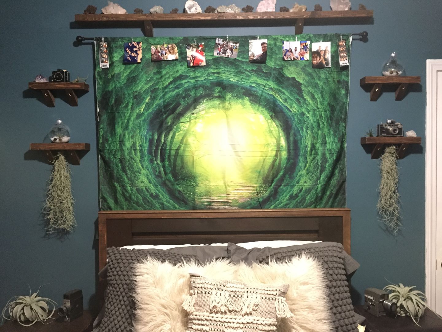 Customer photo review of Usneoides (Spanish Moss) White  On Hanging Wire!