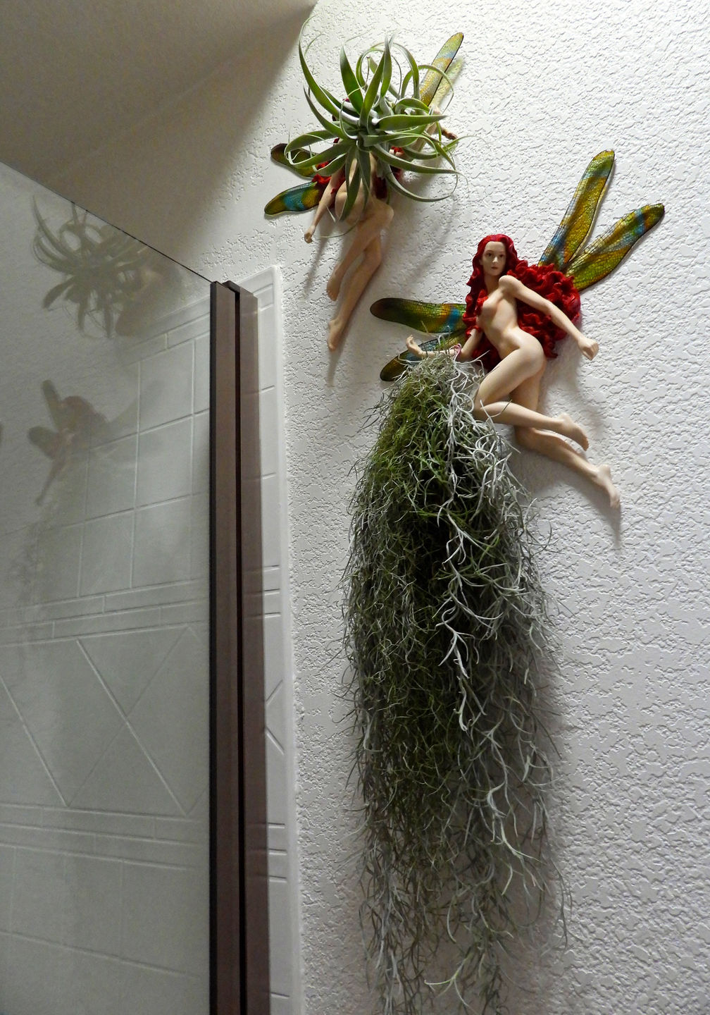 Customer photo review of Usneoides (Spanish Moss) White  On Hanging Wire!