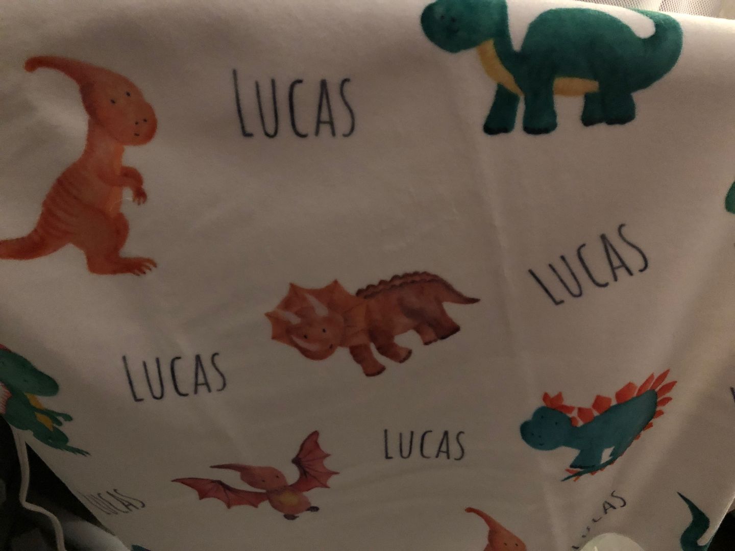Customer photo review of Personalized Dinosaur Watercolor Print Baby Name Blanket