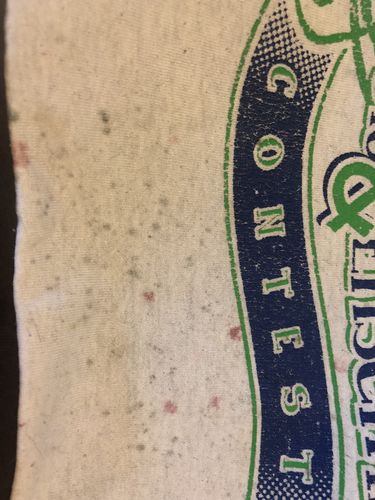 T-shirt quilt by Julie from IL