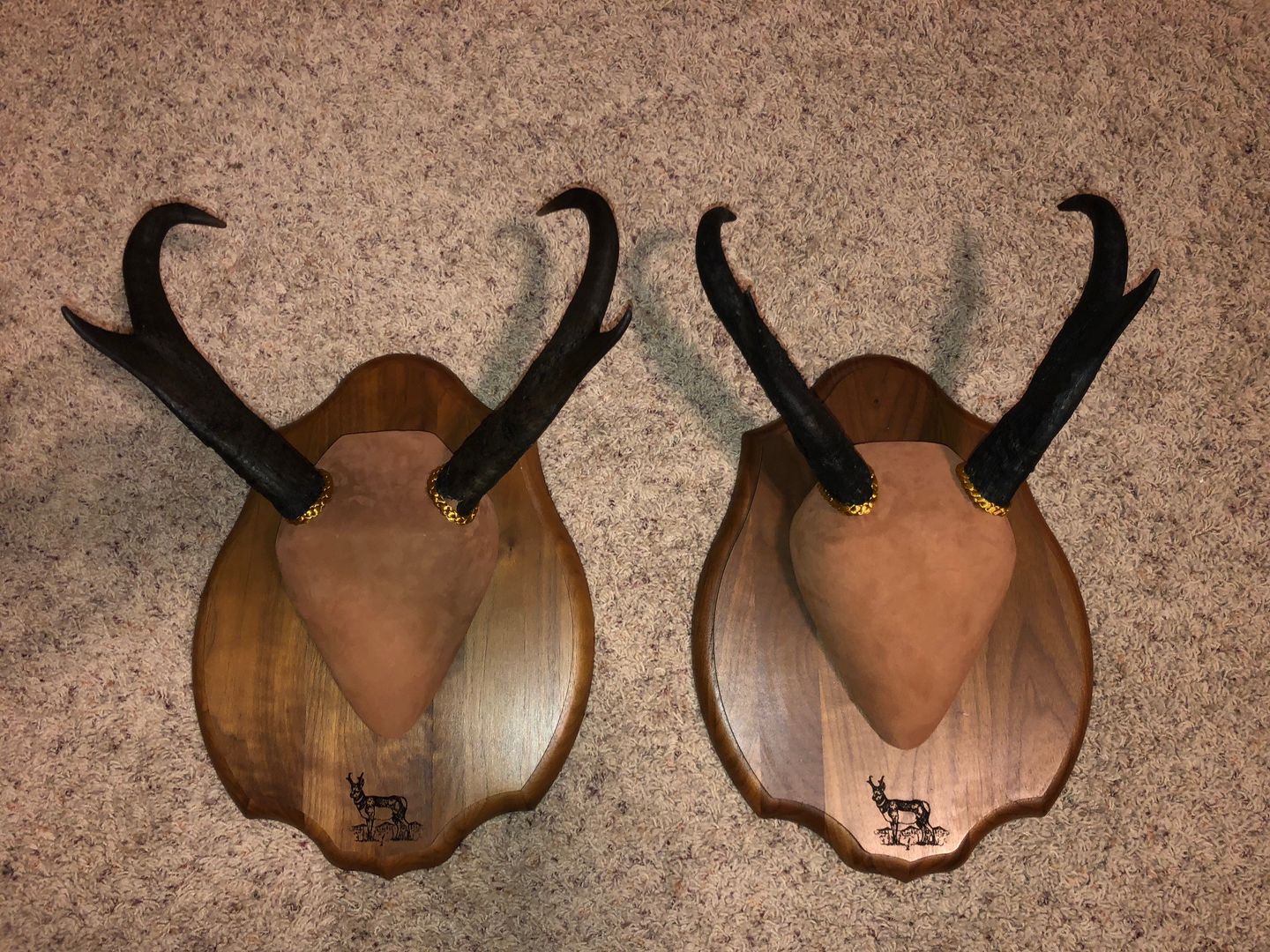 Customer photo review of Goat Suede