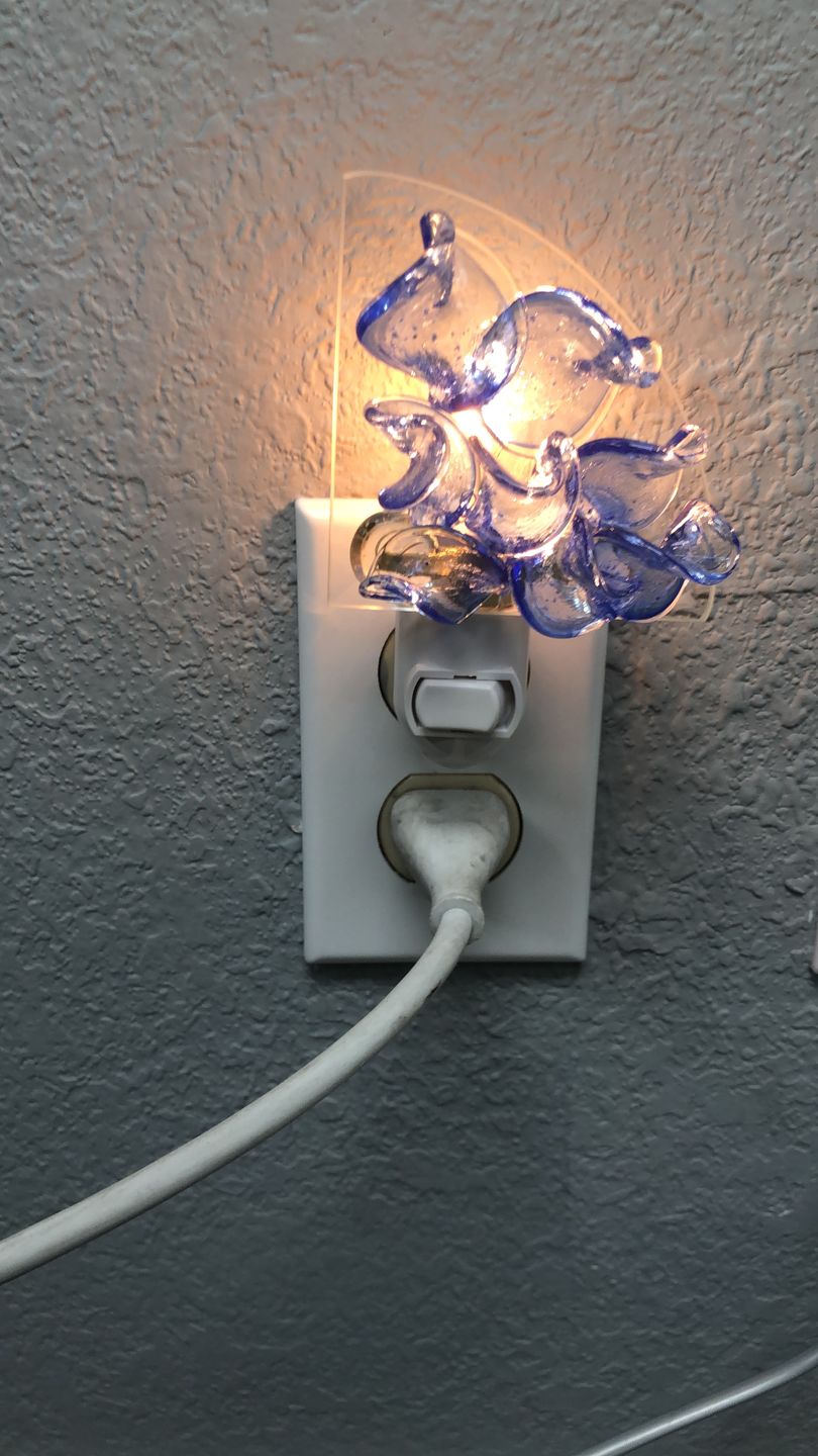 Customer photo review of Memorial Nightlight Flower with Cremation Ash