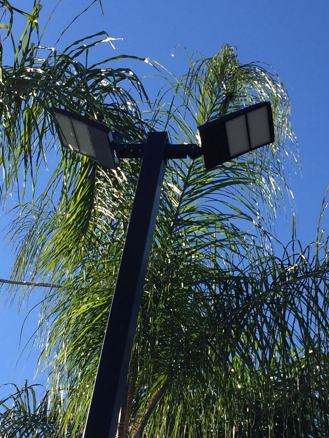 Customer photo review of LED Pole Light 150 Watt 5700K Black AM