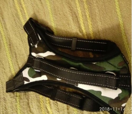 goodbarks dental stick