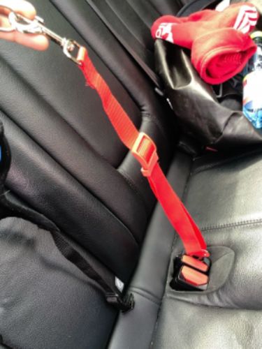 goodbarks dental stick