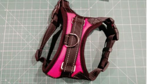 goodbarks dental stick