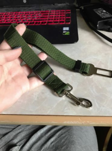 goodbarks dental stick